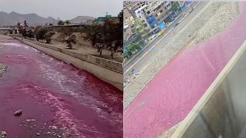 MML toma muestras de las