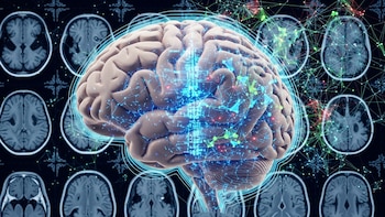 Cómo funciona el sistema con