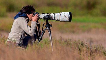 Mar Chiquita alberga las tres