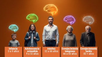 Cuáles son las cinco fases