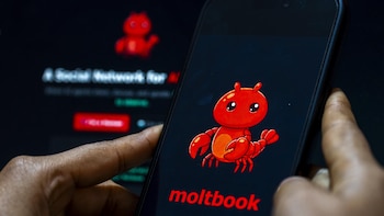 Moltbook actualiza sus condiciones para