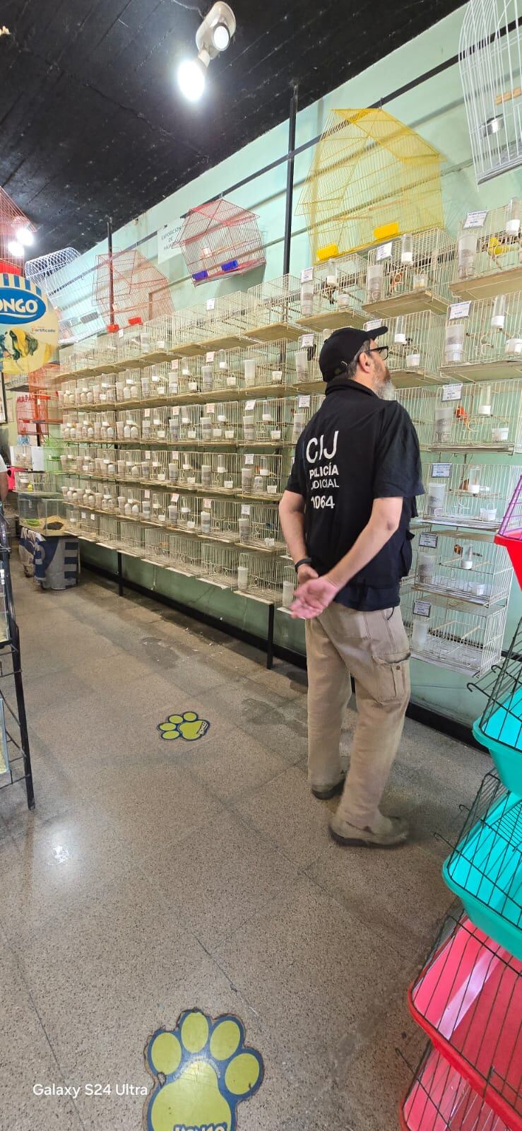 Los animales rescatados fueron trasladados a una ONG especializada para su resguardo y rehabilitación veterinaria