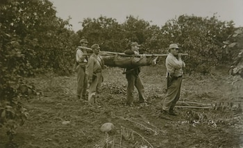 Operación Santa Rosa