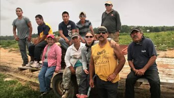 La declaración de impuestos en