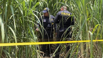 Hallaron muertos a una pareja de esposos en un cañaveral y rescataron a su bebé de un año en Guatemala