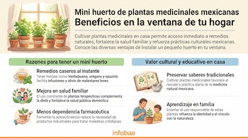 Ilustración de infografía sobre mini huerto de plantas medicinales mexicanas. Muestra macetas en una ventana, íconos de beneficios y logo Infobae.
