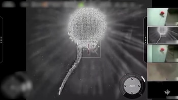 El momento en que una