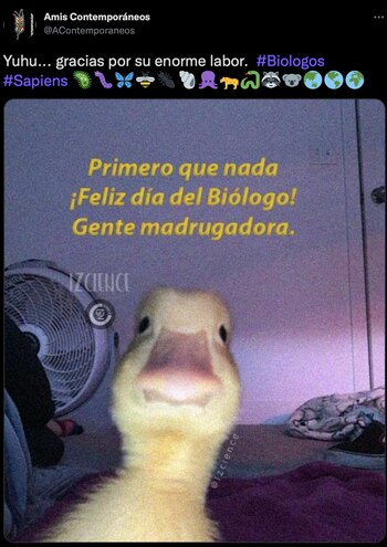 (Foto: Twitter/@AContemporaneos)