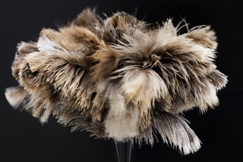 William Forsythe, TOWARDS THE DIAGNOSTIC