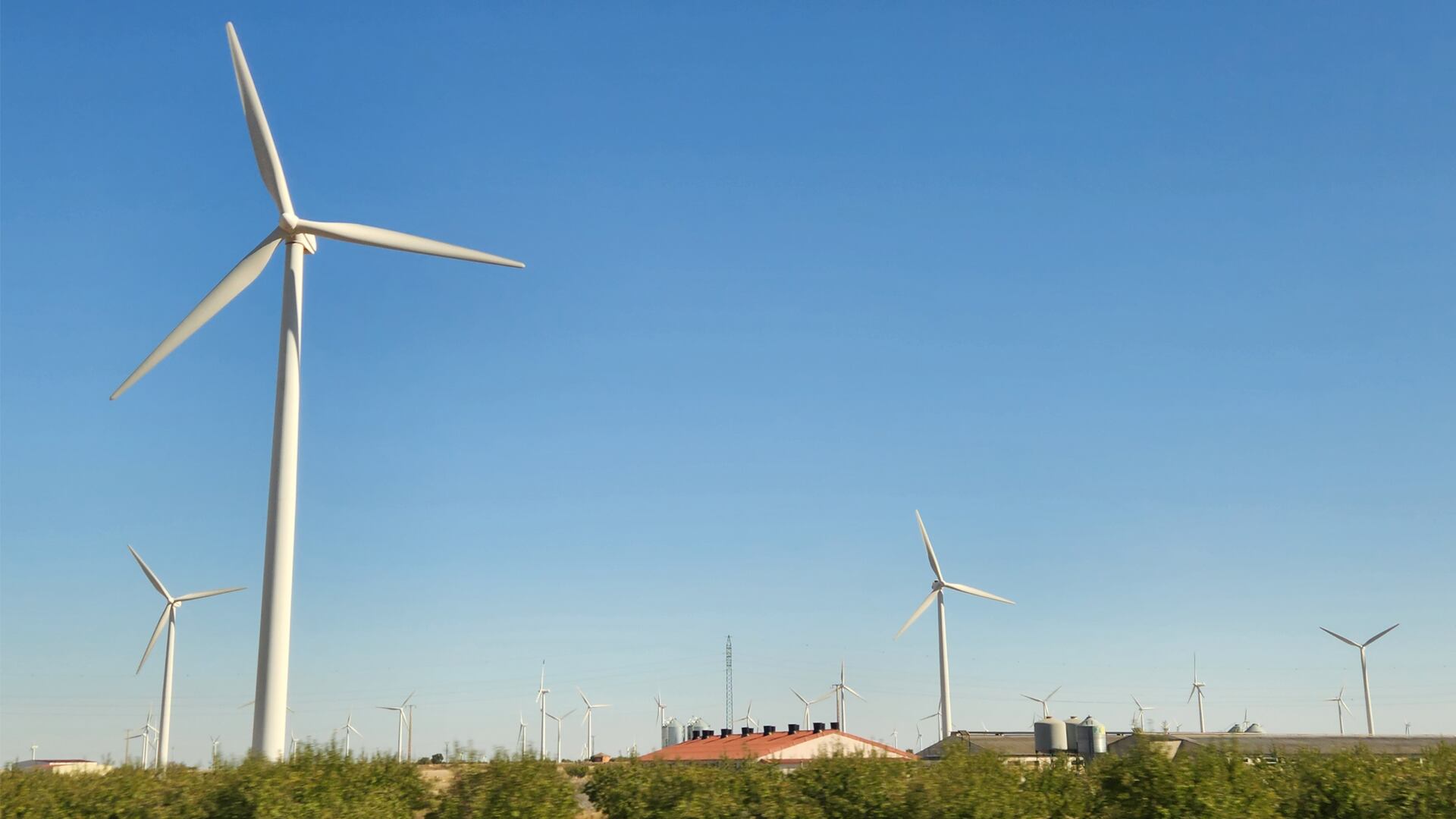 COP30: cuál es la hoja de ruta para avanzar en el financiamiento climático y la protección del ecosistema