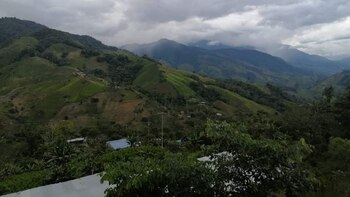 Alcalde de Argelia considera una