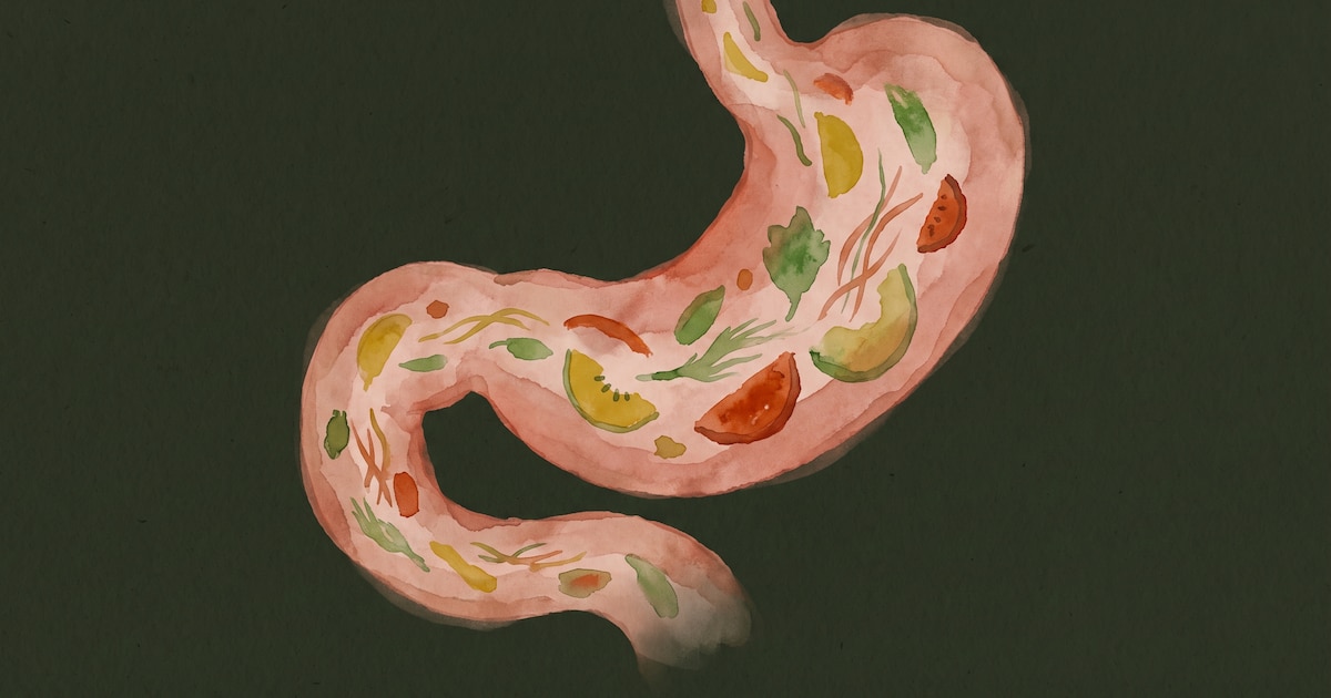 Photo: Infobae Leaky Gut Science: What Research Actually Says About Intestinal Permeability