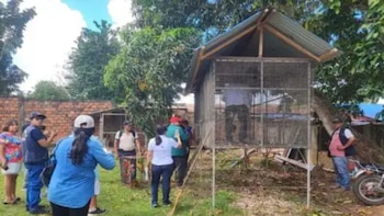 Rescatan a 11 aves silvestres hacinadas en una sola jaula.