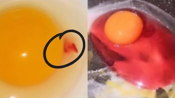 ¿Líquido rojo en sus huevos?