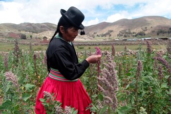 Fotografía del 27 de febrero