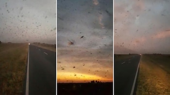 Al norte de Santa Fe