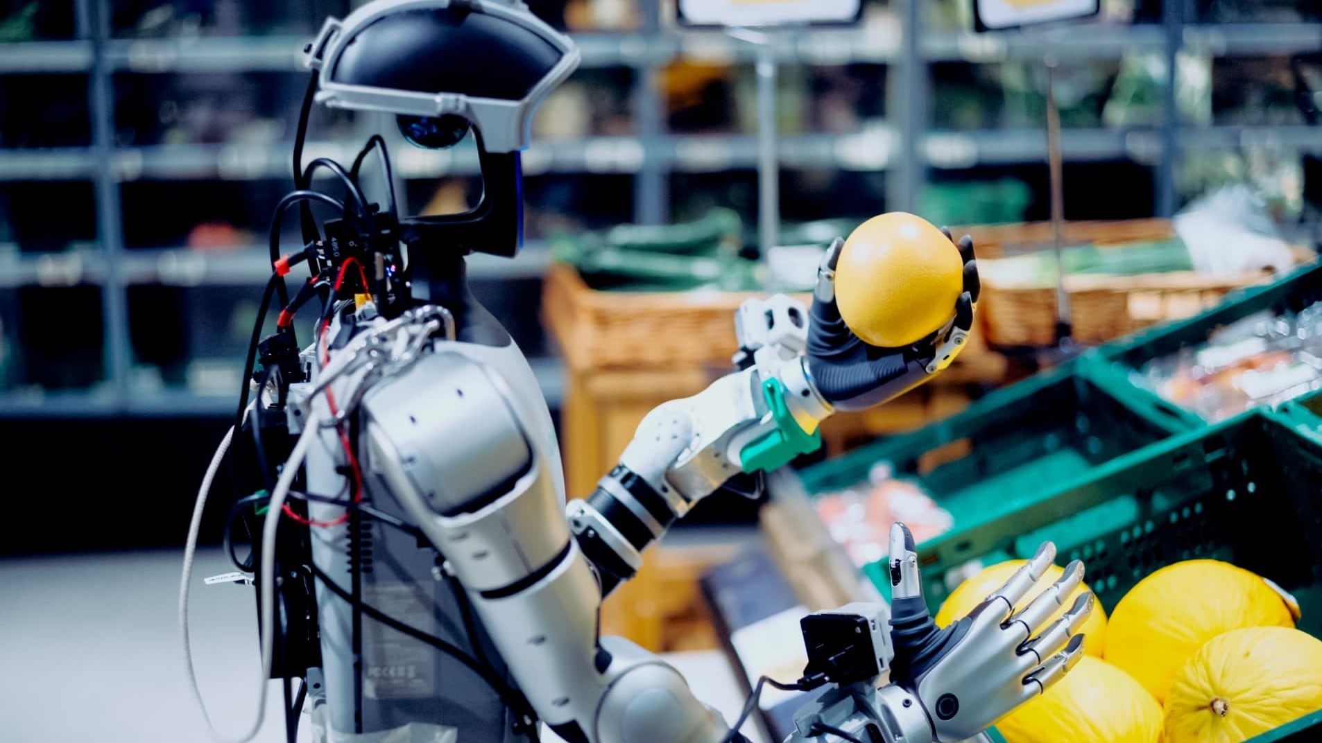 La primera operación sin intervención de un operario dependerá de que el sistema complete el entrenamiento para identificar artículos de tamaños diversos y colocarlos correctamente (hiverobots)