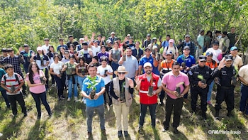 O projeto CORDEM conta com financiamento da Embaixada do Canadá e está em colaboração com a CENTA, autoridades locais e comunidades em El Salvador./ (FAO El Salvador)