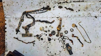 Al parecer, estas serían las