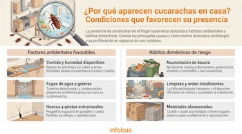 Infografía. Título, texto. Seis ilustraciones: cucarachas en cocina, agua derramada bajo lavabo, pared agrietada, basura en cubo, sala desordenada, cajas apiladas. Logo Infobae.