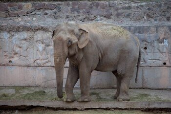 El Gobierno de Mendoza destinó