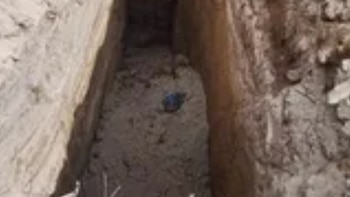 Así localizaron las fosas del ayuntamiento de Altepexi donde terminaban los perros recogidos de la calle