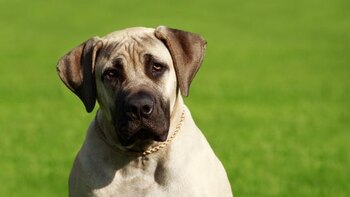 Muere un bebe de once