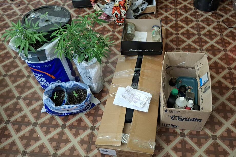 Una de las encomiendas interceptadas con marihuana y otras drogas