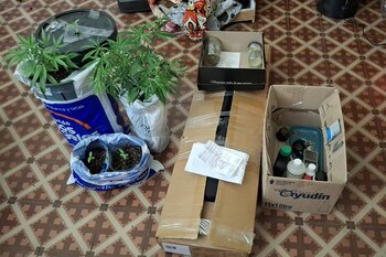 Imputaron y dictaron prisión preventiva para dos implicados en el tráfico de drogas sintéticas desde Córdoba a Jujuy