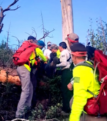 Varias personas con chalecos fluorescentes y mochilas rojas asisten a un individuo en una zona boscosa con árboles y ramas