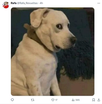 Memes Carin León foto: X