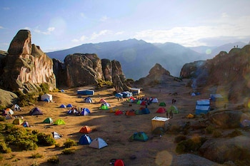 ¿Qué puedes hacer cerca de