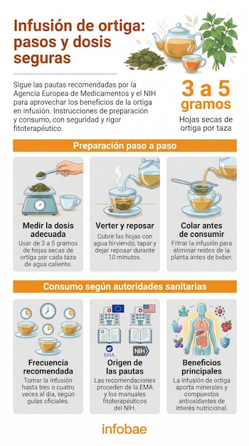 Infografía sobre infusión de ortiga. Muestra preparación (hojas, tetera, tazas, balanza, colador), dosis, frecuencia y beneficios, incluyendo logos de EMA y NIH.