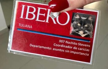 Con su presencia tranquila y