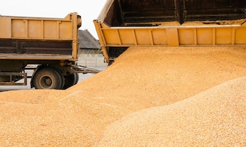 La zona portuaria de Rosario,