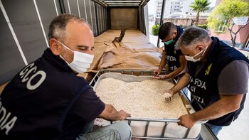 El otro Ejército del régimen