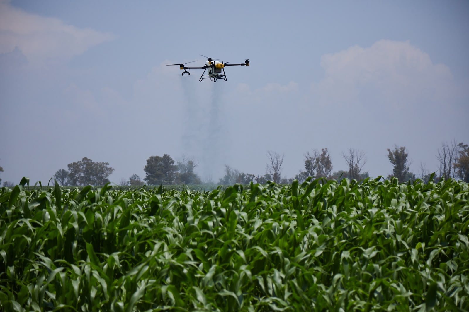 Drones, sensores y robots: así cambia la agronomía en el Tec de Monterrey