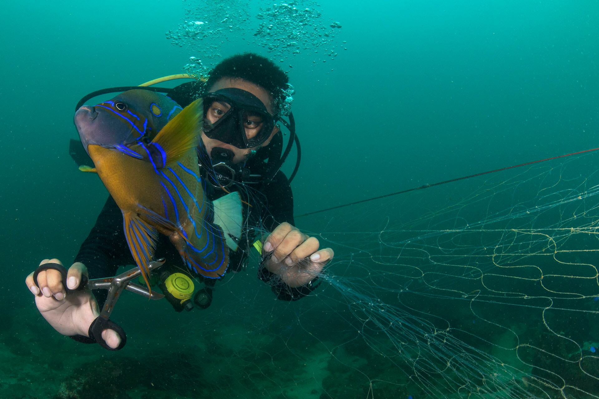 El Tratado de Alta Mar entrará en vigor en 2026 y permitirá crear áreas protegidas fortalecer la cooperación científica y resguardar dos tercios del océano mundial (Global Ghost Gear Initiative)