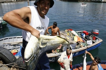 Plantean desde el Congreso que
