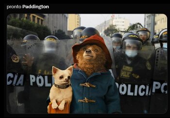 Memes sobre Paddington en Perú.