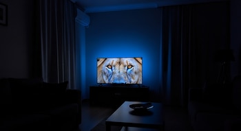 Uma televisão mostrando a imagem de um leão com olhos amarelos brilhantes, em um quarto escuro. A tela emite uma luz azul que ilumina a parede posterior.