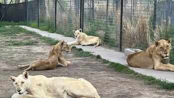 Habilitaron página para recaudar fondos