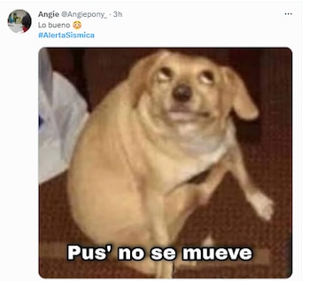 memes sismo 3 de marzo