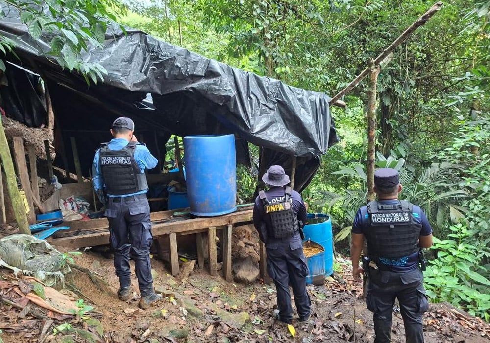 Colón y Olancho habían concentrado la mayoría de los hallazgos de cultivos de coca en Honduras. (FOTO: Policía Nacional)