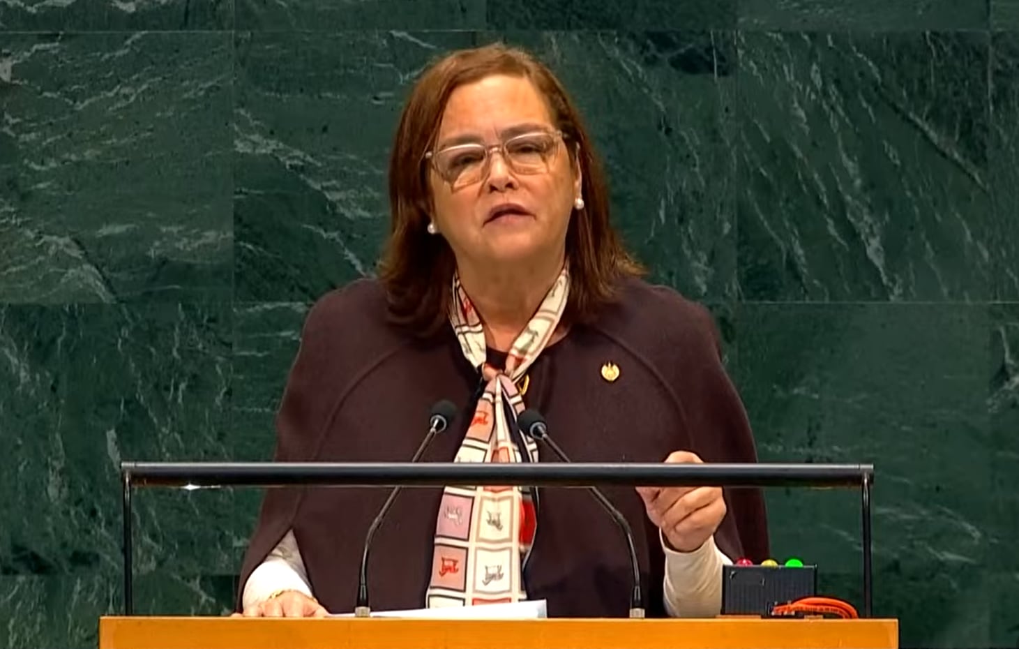 Hill defendió un multilateralismo que respete la soberanía de los Estados y resuelva los problemas que atraviesan las fronteras. (Foto captura del video Asamblea General de la ONU)