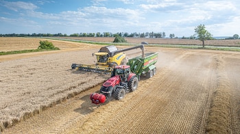 "Estamos en un país agrícola-ganadero, con tierra y ahora con maquinaria desarrollada. Es un punto de partida muy grande", destaca Miguel sobre la evolución del sector (Foto: Shutterstock)