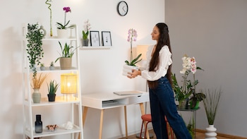 Ocho trucos para decorar tu