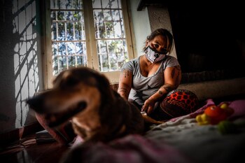 Un perro de tres patas