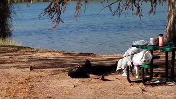 Youtuber salta de un puente para uno de sus videos y termina con el cráneo fracturado