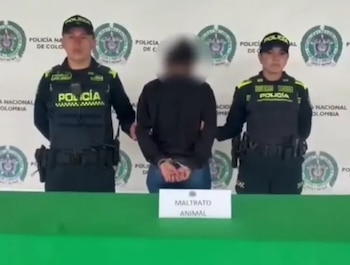 La mujer detenida enfrenta un proceso judicial ante la Fiscalía General de la Nación por el delito de maltrato animal - crédito Mebog